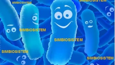 Bé uống kháng sinh bị tiêu chảy, giải pháp cực đơn giản từ men vi sinh Simbiosistem