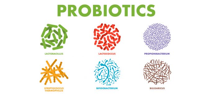 Hình ảnh: Men vi sinh gồm rất nhiều loại khác nhau và hiệu quả phụ thuộc vào từng chủng lợi khuẩn 